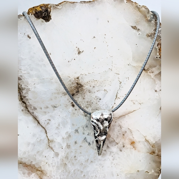 Jewelry - 💀 2/$15 💀 Raven Skull necklace (silver toned)